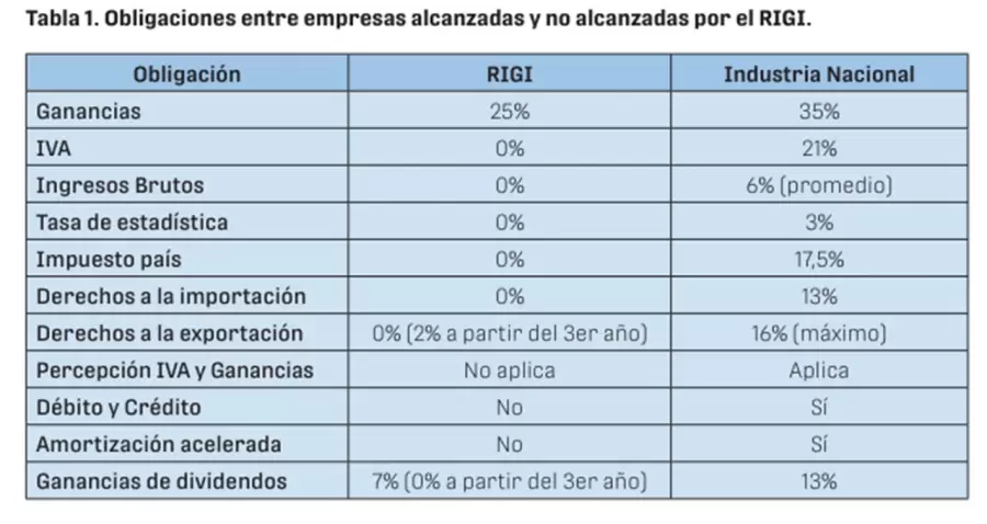 La comparación entre beneficios del RIGI y la realidad de las pymes.