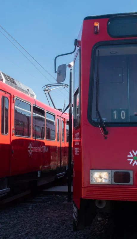 Robaron cables y falta de servicio eléctrico en Las Heras.