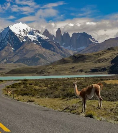 Ruta de la Patagonia.