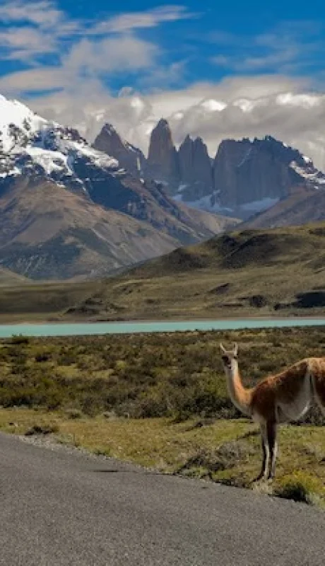 Ruta de la Patagonia.