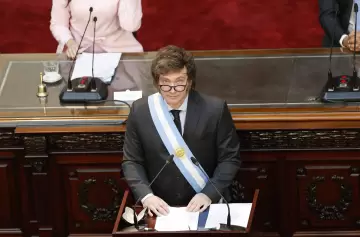 "La necesidad actual de Milei es fortalecer su peso parlamentario"