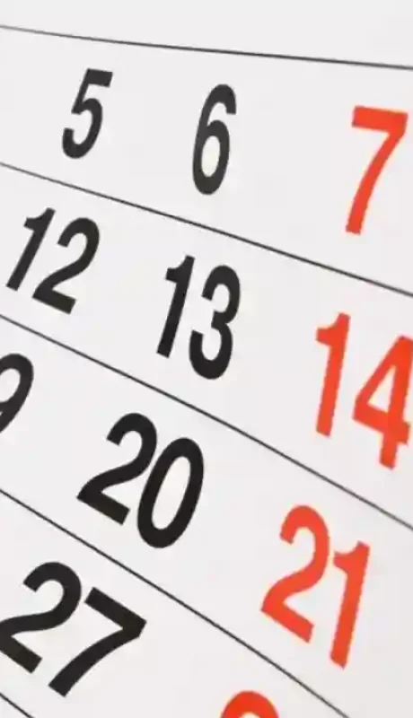 Marcá el calendario