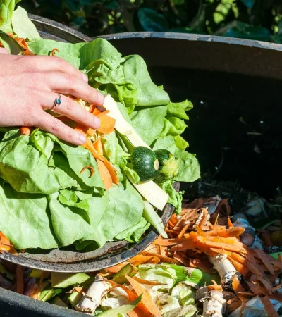Es necesario reducir los desperdicios de alimentos