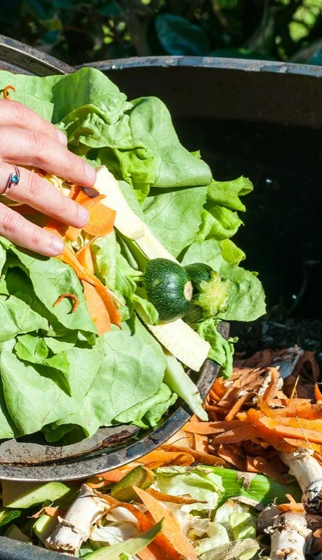 Es necesario reducir los desperdicios de alimentos