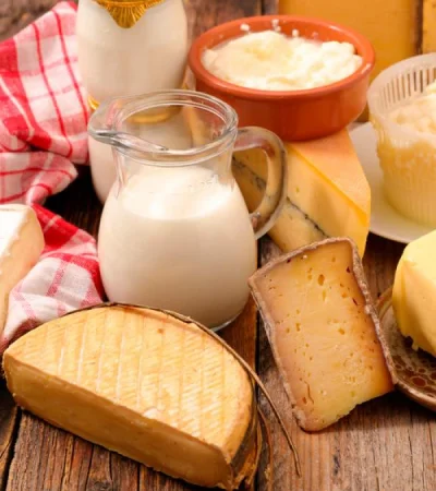 Lácteos.