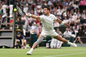 Djokovic ganó en Wimbledon pero se peleó con el público