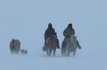 El frío afecta a gran parte del país y produce pérdidas económicas