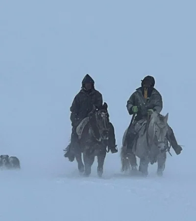 El temporal volvió en las últimas horas en el sur argentino complicando el trabajo de los lugareños que luchan por perder su ganado.