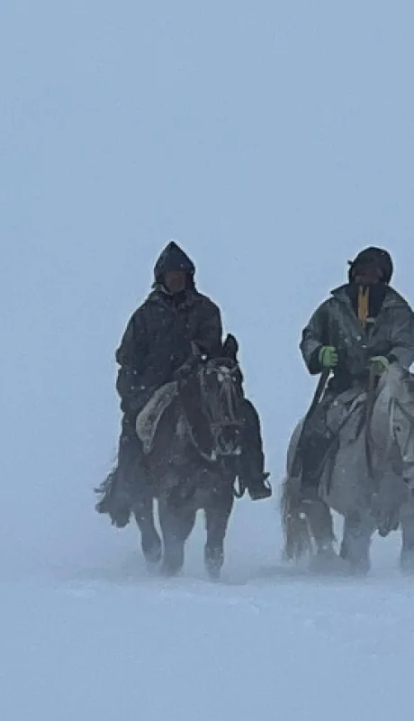 El temporal volvió en las últimas horas en el sur argentino complicando el trabajo de los lugareños que luchan por perder su ganado.