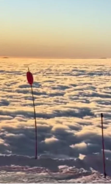 Las imágenes pertenecen a @ezegallardo, usuario de TikTok.