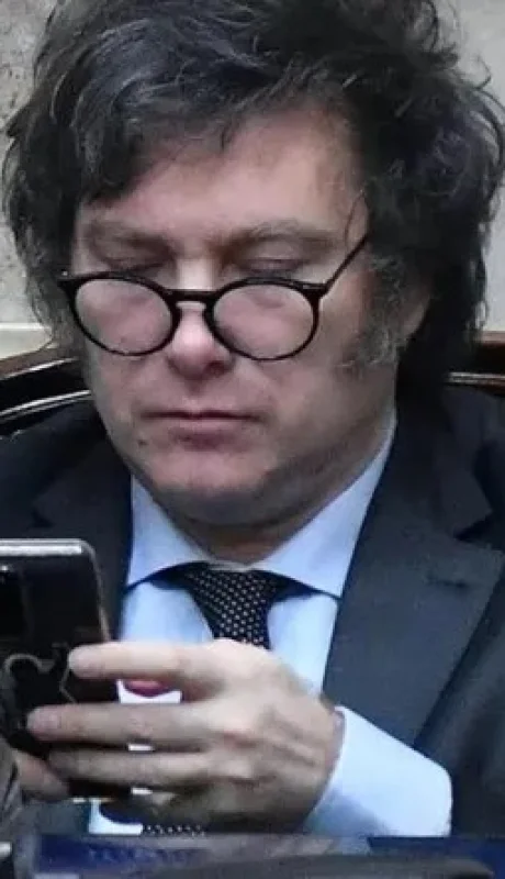 Javier Milei y sus expresiones en redes sociales.