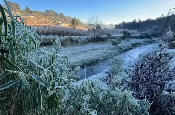 Helada negra: la amenaza oculta tras la ola polar que azota al país