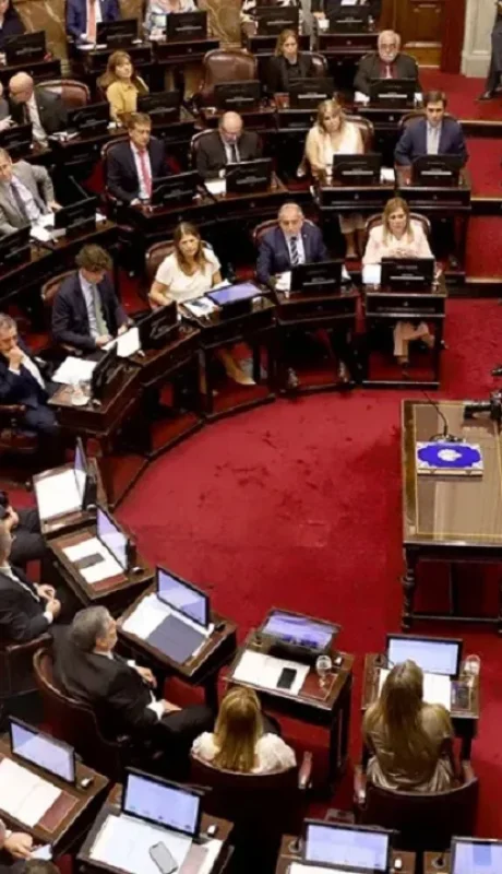El Senado aprobará los nuevos integrantes.