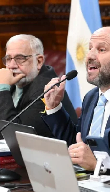 Reunión de la Comisión de Justicia y Asuntos Penales el 10 de Julio del 2024, en el Salón Illía del Senado de la Nación.