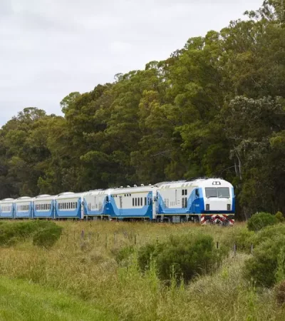 Trenes argentinos.