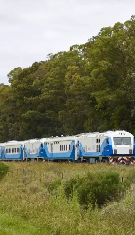 Trenes argentinos.