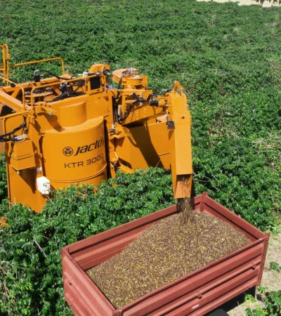 Producción agropecuaria