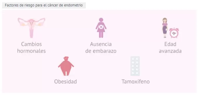 Factores de riesgo para el cáncer de endometrio