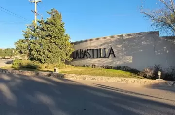 ¡Puma en Las Heras! Felino irrumpe en barrio privado y causa revuelo entre vecinos