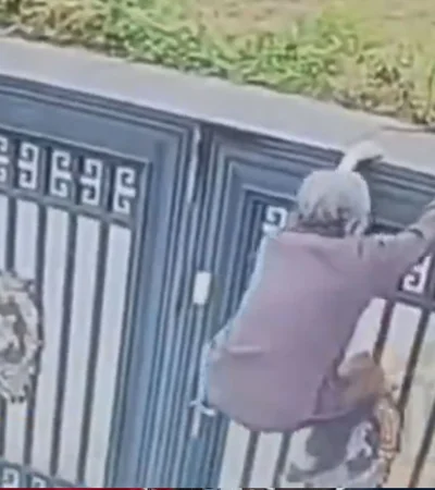 ¡Abuela ninja! A los 92 años trepó una reja y se escapó del geriátrico