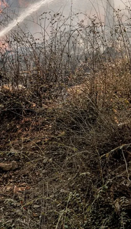 Incendios en el Cerro Champaquí, Córdoba/