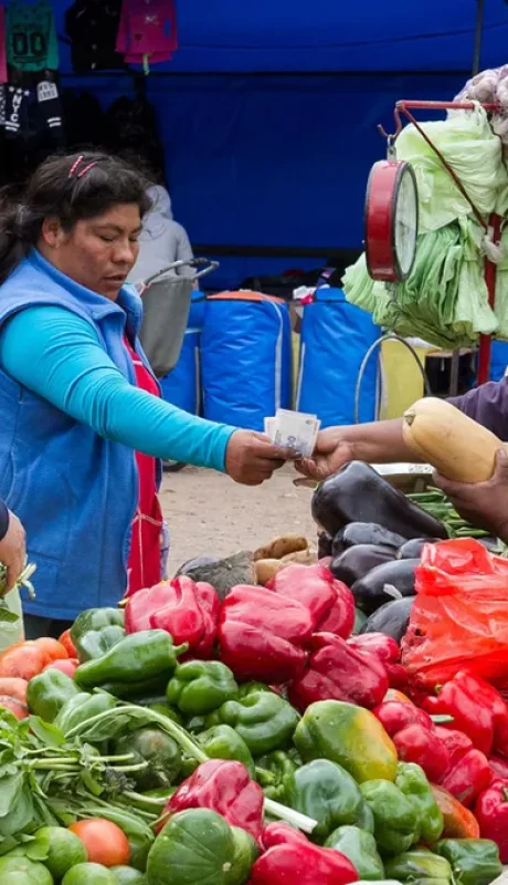 Desplome de ventas en mercados cooperativos de Mendoza