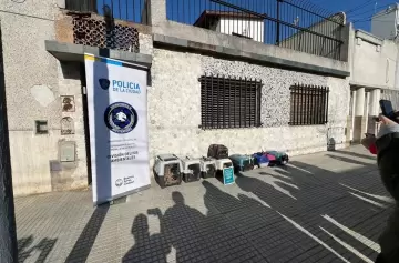 Monte Castro: 12 gatos al borde de la muerte fueron rescatados de una vivienda