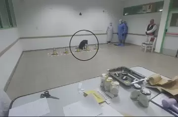 El momento en que Nina, la perra adiestrada, olía rastros de Loan en el auto de los detenidos