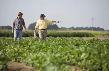 Desde el Banco Nación aseguran que los productores rurales confían en el peso argentino