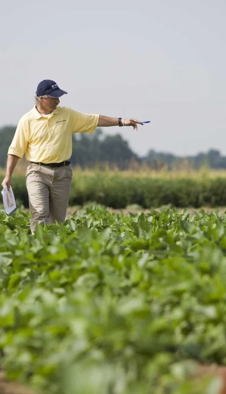 Producción agropecuaria