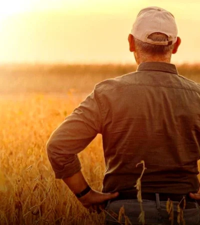 Producción agropecuaria