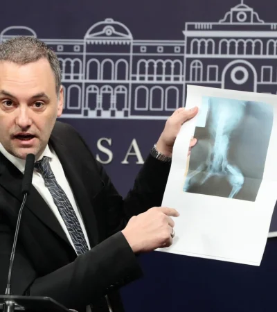 Un beneficiario presentó una radiografía de un perro