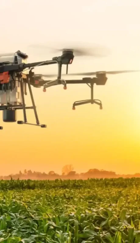 La agricultura se verá beneficiada con nuevos elementos en etapa de investigación