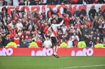 ¡Un colibrí, que en su enramaje estaba!