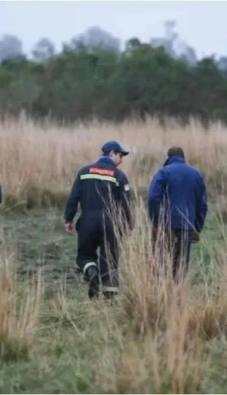 Se realizó un rastrillaje en el campo donde un vecino escuchó gritar a un niño
