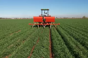 La importación de fertilizantes creció 70% por la normalización del comercio exterior