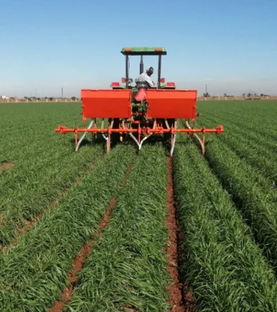 La importación de fertilizantes creció 70% por la normalización del comercio exterior