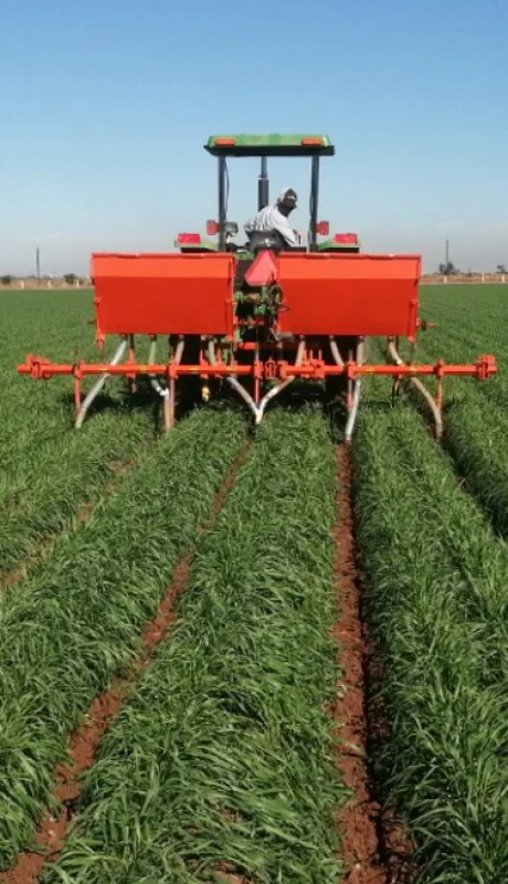 La importación de fertilizantes creció 70% por la normalización del comercio exterior