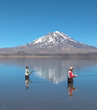 Se pueden realizar varias actividades.