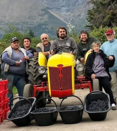 En 2017 lograron el primer buen vino, aunque hubo que sostenerlo en el tiempo y que esa calidad fuera creciendo.