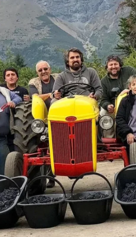 En 2017 lograron el primer buen vino, aunque hubo que sostenerlo en el tiempo y que esa calidad fuera creciendo.