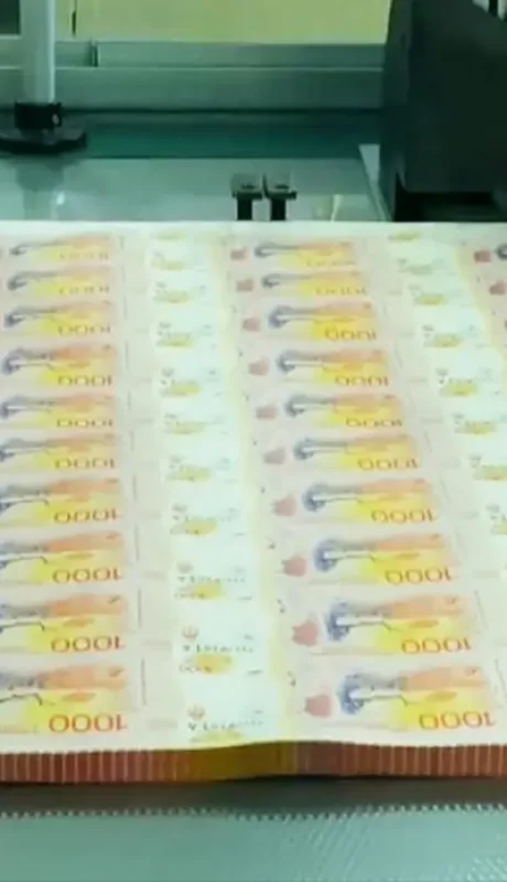 Emisión en la Argentina