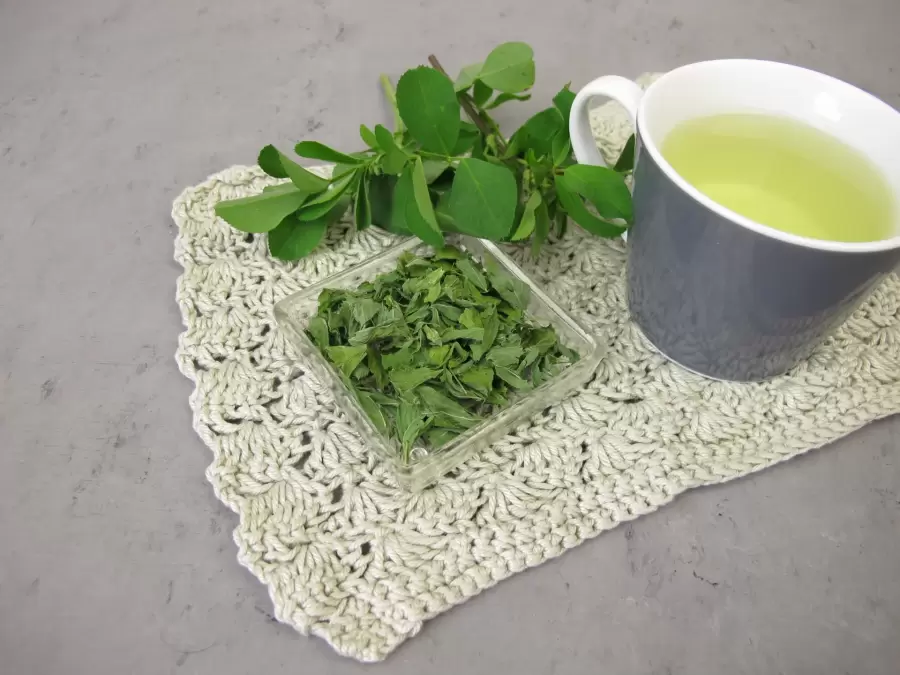 Té de alfalfa