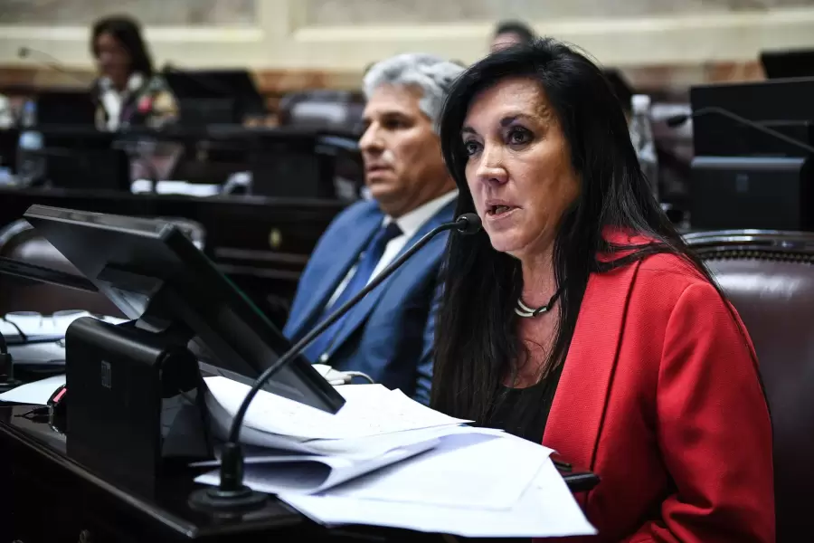 Diputada Laura Rodríguez Machado.