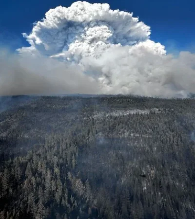 Nubes que se alimentan de fuego con rayos que llegan alto a la atmósfera