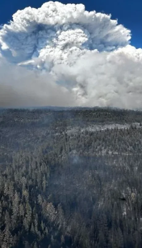 Nubes que se alimentan de fuego con rayos que llegan alto a la atmósfera