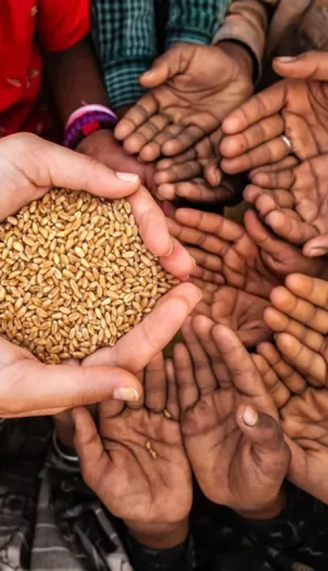 El hambre en el mundo se mantuvo alta por tercer año consecutivo