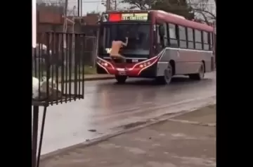 Locura en la calle: un hombre desnudo se colgó de un micro y lo filmaron