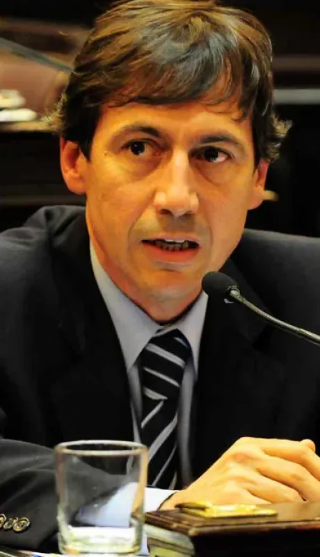Luis Naidenoff cuando era senador