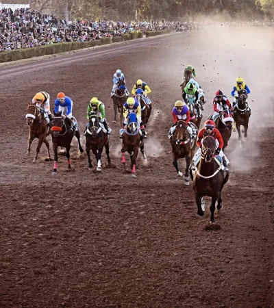 Una nueva cita turfística en el Hipódromo provincial